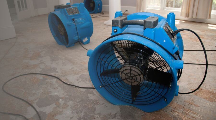 Why choose Local Experts WaterDamage for water damage restoration in Mount Lemmon, AZ